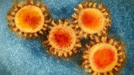 Twin pandemic of Covid-19 and flu ‘not a certainty’ this winter