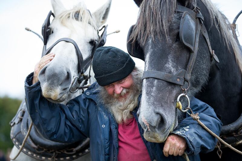 MY LOVELY HORSES: During day one of the National Ploughing Championships, Gerry Dennehy from Tralee, Co Kerry is seen with his horses "Mutt "and "Jeff ". Photograph: Tom Honan