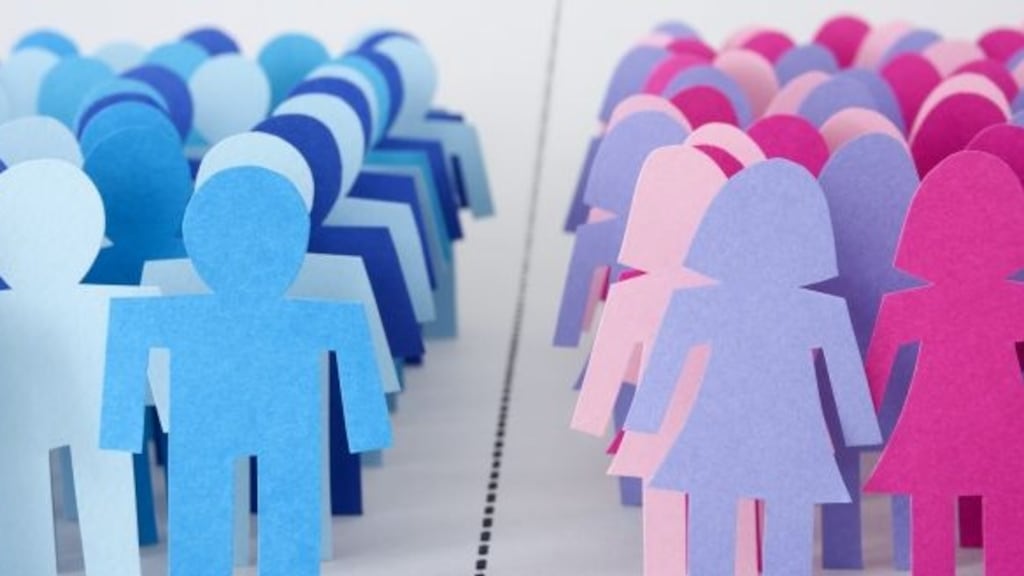 Most banks are limiting themselves to a “one-dimensional” focus on gender, says Central Bank