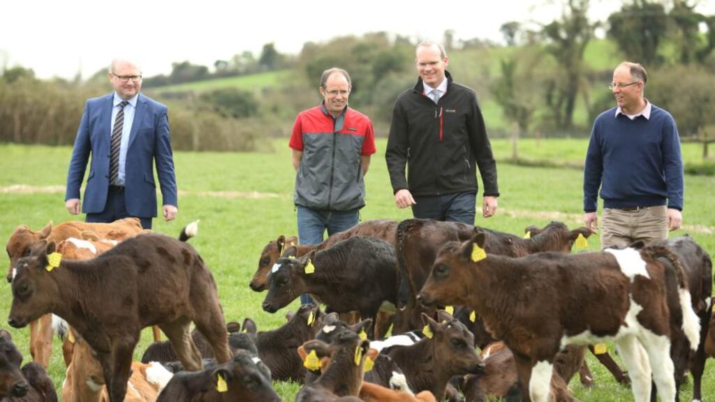 Alf McGlew and Andrew Purcell with Minister of State Ged Nash and Minister for Agriculture Simon Coveney, participants in a Teagasc farm safety walk on their farm at Grangebellew, Co Louth. Photograph: Finbarr O’Rourke