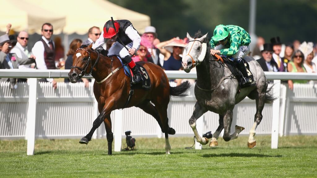 Pat Smullen aboard Free Eagle wins the Prince of Wales Stakes during Royal Ascot this summer. Photograph: Getty Images