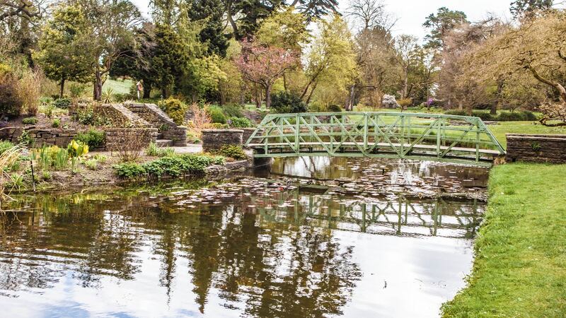 Botanic Gardens in Dublin