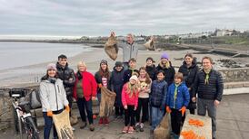 False teeth, vintage dolls and a bag of weed - just some of the items found on Irish beaches in 2023