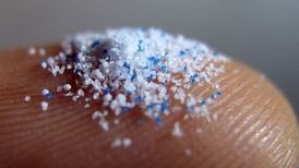 Coveney seeks views on microbead ban