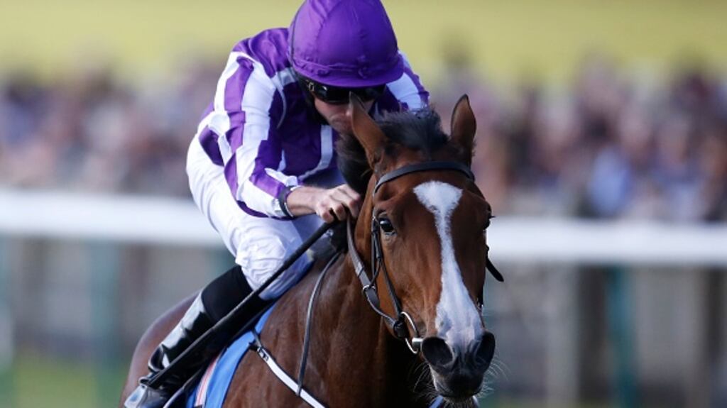Aidan O’Brien’s Minding is favourite for the 1,000 Guineas. Photograph: Getty