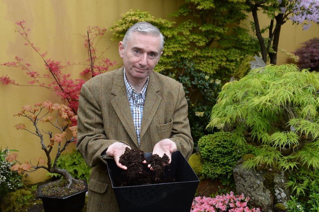 Gardener Dermot O'Neill pictured last year. Photograph: Dara Mac Donaill