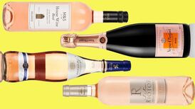 The best rosé wines to try right now