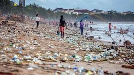 Nature declining at unprecedented rate ‘with grave impacts on people now likely’, report finds