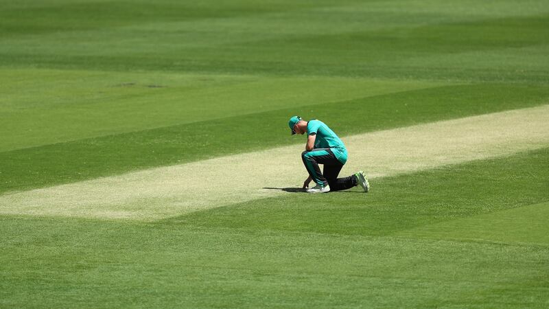 Australia’s Steve Smith inspects the pitch during a training session. Photo: Chris Hyde/Getty Images