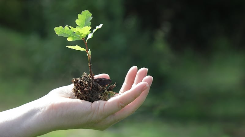 Thinking Anew – On the outside looking in