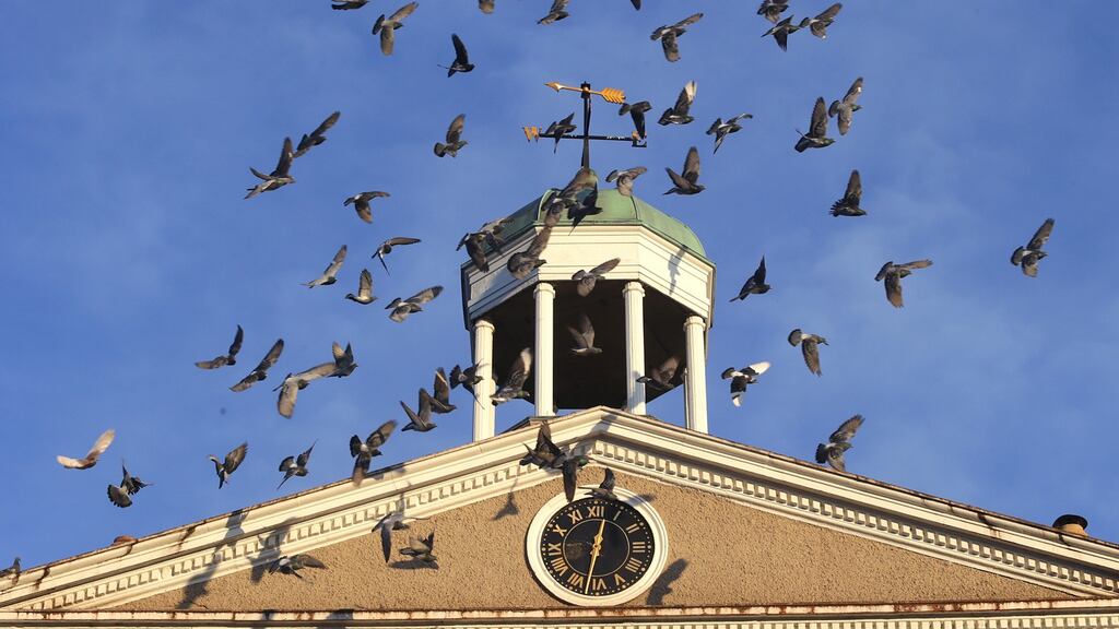 Pigeons fly over a clock tower at Portobello in Dublin. Ireland is not going to have a white Christmas this year but the weather will be pleasantly dry and bright in comparison with the squally conditions of late. Photorgaph: Damien Eagers/The Irish Times.