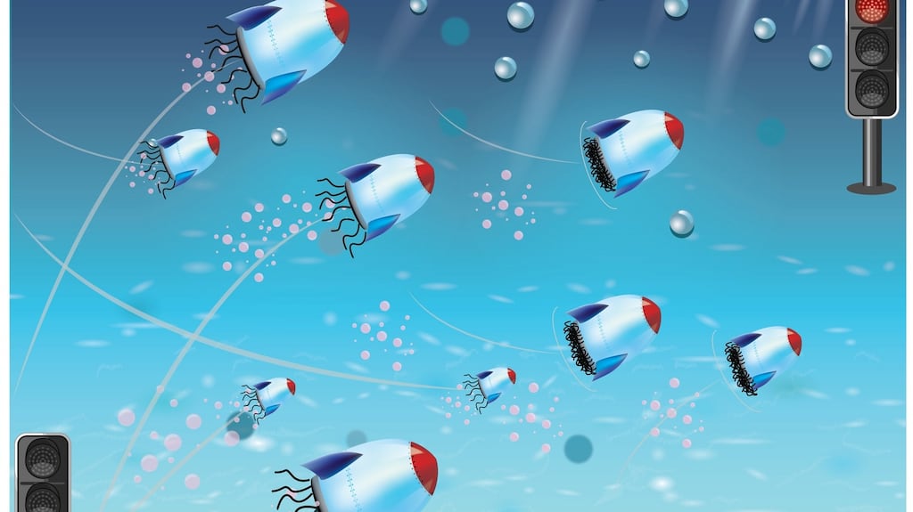 Nanorockets could potentially serve as tiny medicine cargo transporters for the human body