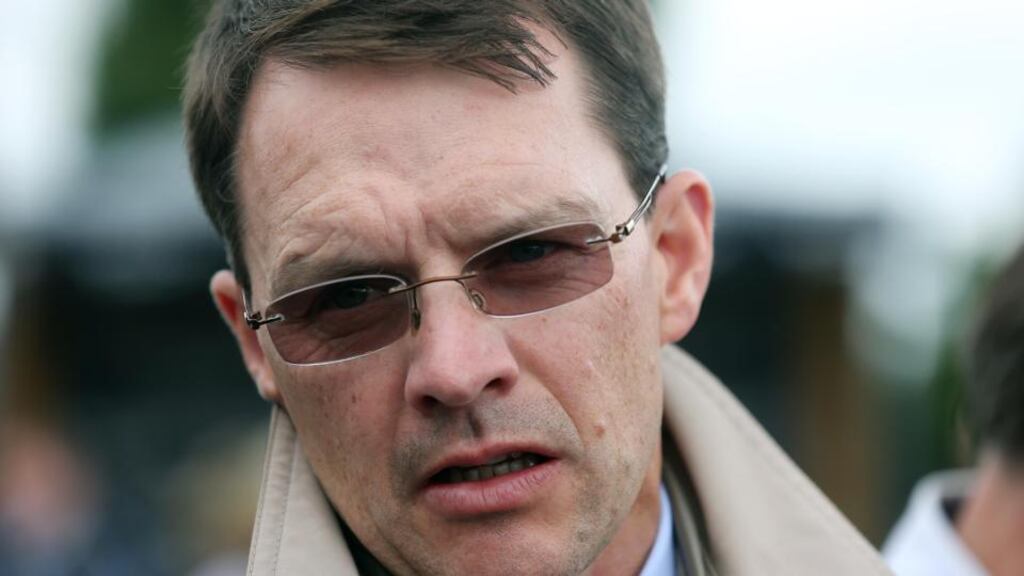 Aidan O’Brien: Ballydoyle handler will be well represented at the Group One extravaganza in France. Photograph: Lorraine O’Sullivan/Inpho