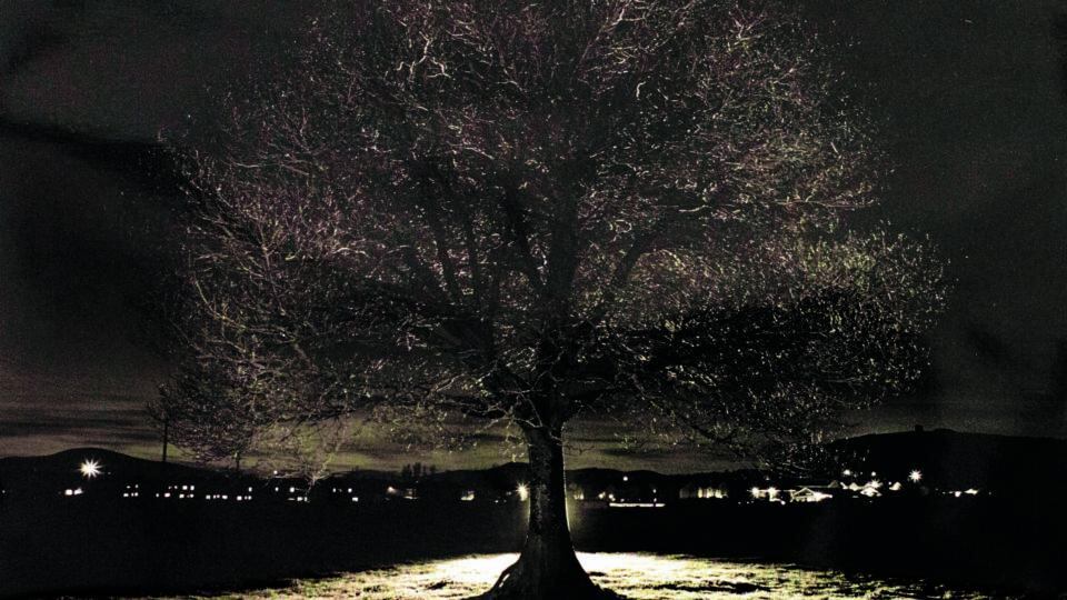 Dark art: a night-time study by Siabh Nicoleta Wall, of Crawford College of Art and Design