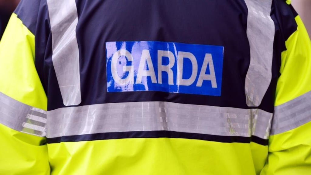 Gardaí have arrested more than 30 people in a major operation across Co Carlow involving 120 Garda members including gardaí on horseback and the Garda helicopter.
