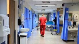 Government to pare back HSE structures, says Harris