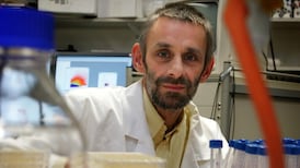 Immunology researcher Kingston Mills named as SFI Researcher of the Year