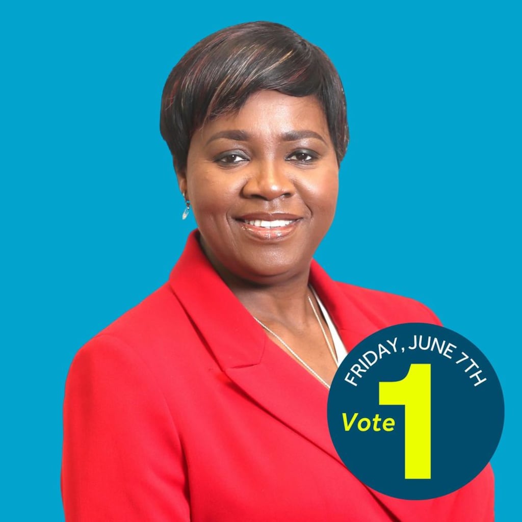 Ejiro O’Hare-Stratton: Fergus O'Dowd told the Dáil the Irish Freedom Party wrote the slogan Ireland is Full on the Drogheda candidate's posters