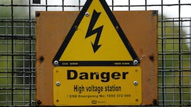 Garda ‘manning issues’ delay execution of court order for man’s arrest over alleged trespass