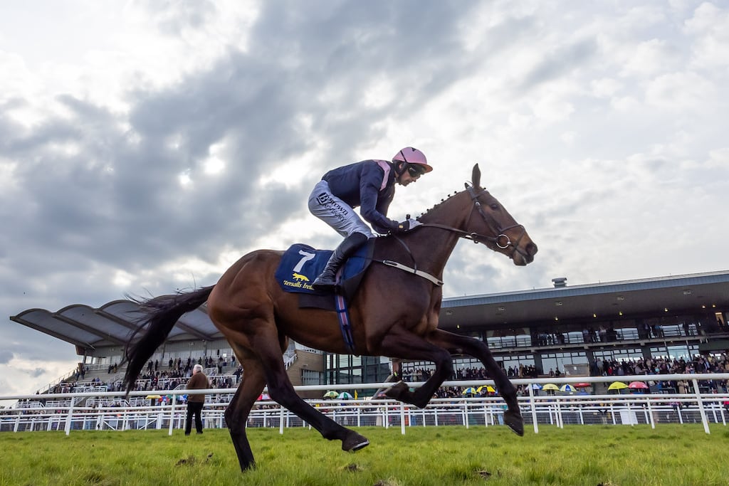 Patrick Mullins on Kopek Des Bordes completed a Willie Mullins five-timer at Fairyhouse that included Grade One glory for Jade Grugy in the Honeysuckle Novice Hurdle. Photograph: Morgan Treacy/Inpho