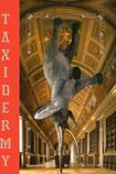 Taxidermy