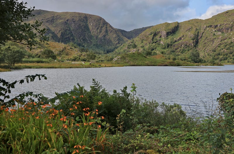 St Finbarr’s Pilgrim Way. Photograph: Valerie O'Sullivan