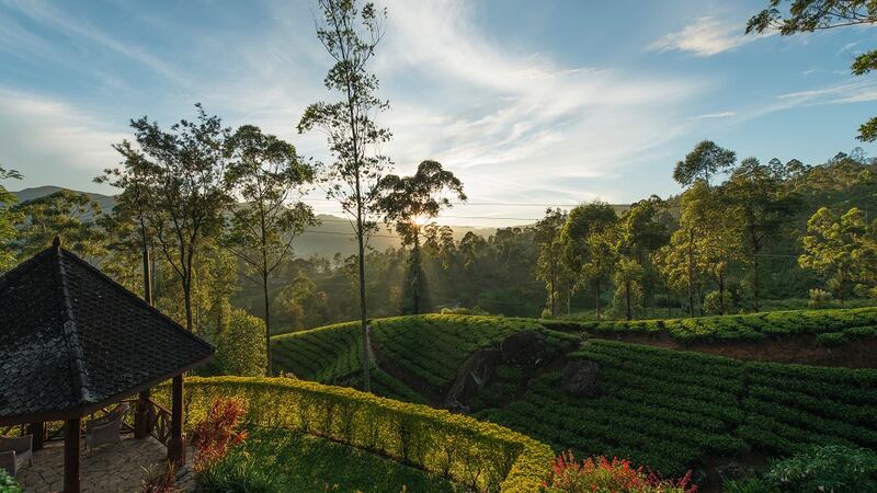 Ceylon Tea Trails, Sri Lanka