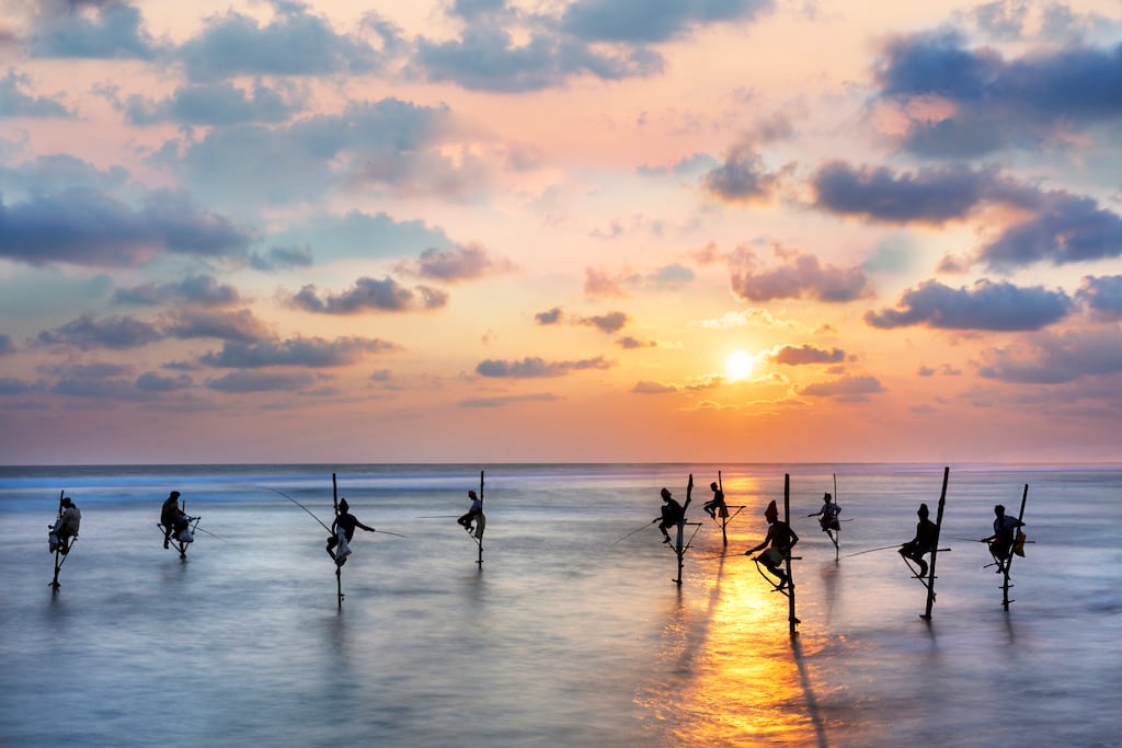 Fishermen on stilts in Galle, Sri Lanka. Bold, intense flavours characterise the country's cuisine, with fiery curries, vegetables and coconut predominating