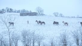 Warning of 3cm of snow as temperatures of -4 forecast