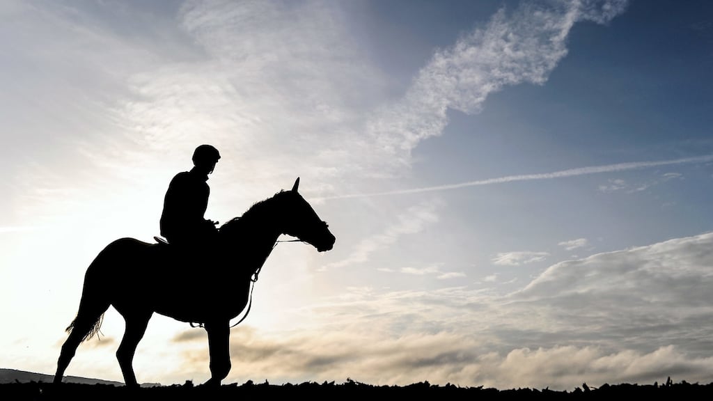 Jezki rolled back the years at Navan on Saturday. Photograph: Getty Images