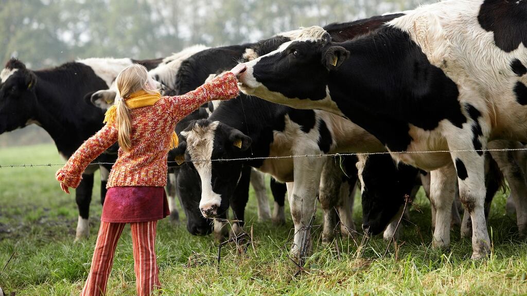 Farm families claimed that a continuous contribution of the farm asset was discouraging children from continuing to run the farm, as the value of the asset was diminishing. Photograph: Getty Images
