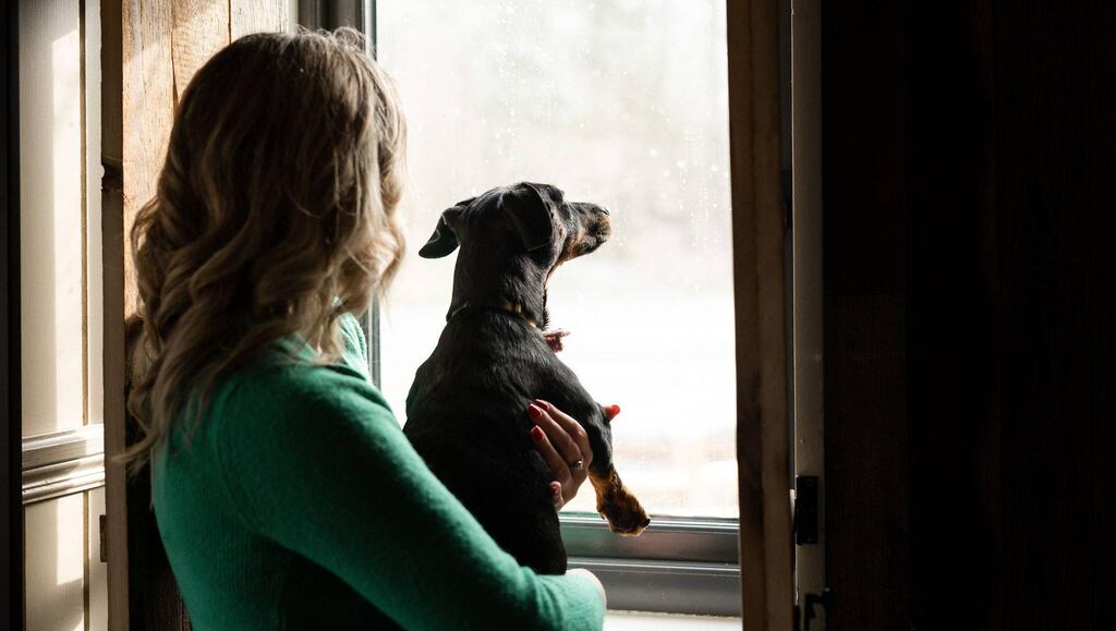 Dog-friendly accommodation is becomingly increasingly popular across Ireland