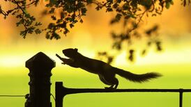 Halloween to bring end to unseasonably warm weather