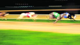 Hearing over greyhound drug finding not going ahead on Friday