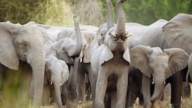 ‘Citizen science’ is the way to encourage critical thinking