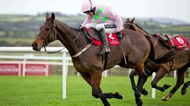 Cheltenham Gold Cup: Horse-by-horse guide