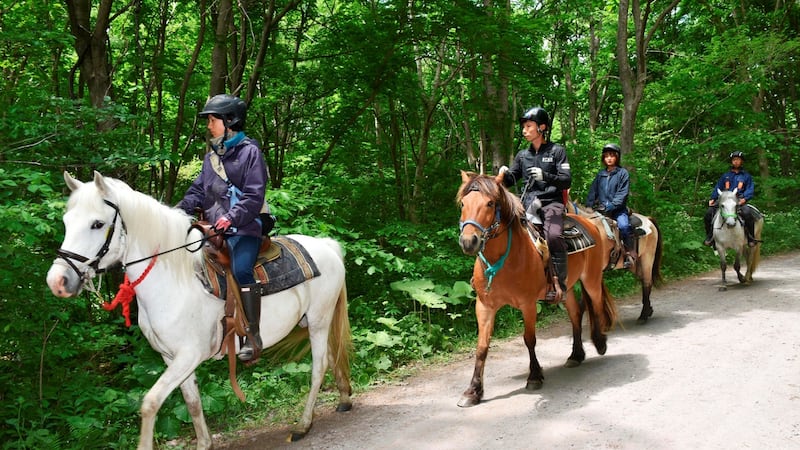 People riding horses search for a seven-year-old boy who went missing two days earlier, in Nanae town on the northernmost Japanese main island of Hokkaido, Japan. Photograph: Kyodo/Reuters