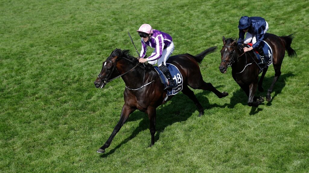 Padraig Beggy on Wings Of Eagles wins the Investec Derby at Epsom. Photograph: Peter Nicholls/Reuters