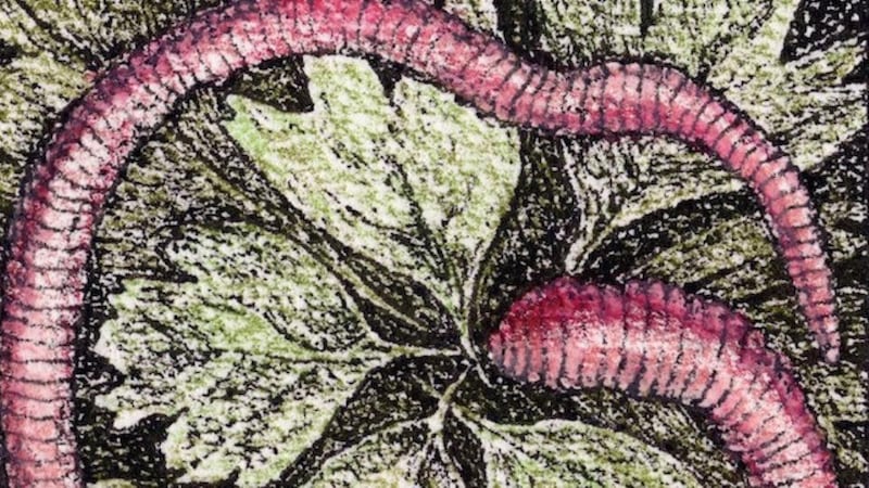 Another Life: Ireland’s farmland may still seem mercifully green, but is, nonetheless, vulnerable