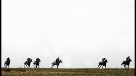 Conservation management plan to be developed for the Curragh Plains