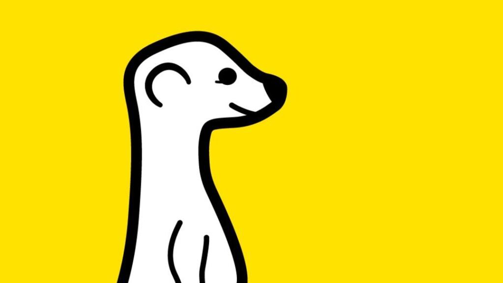 Live streaming mobile video app Meerkat was officially debuted in late March.