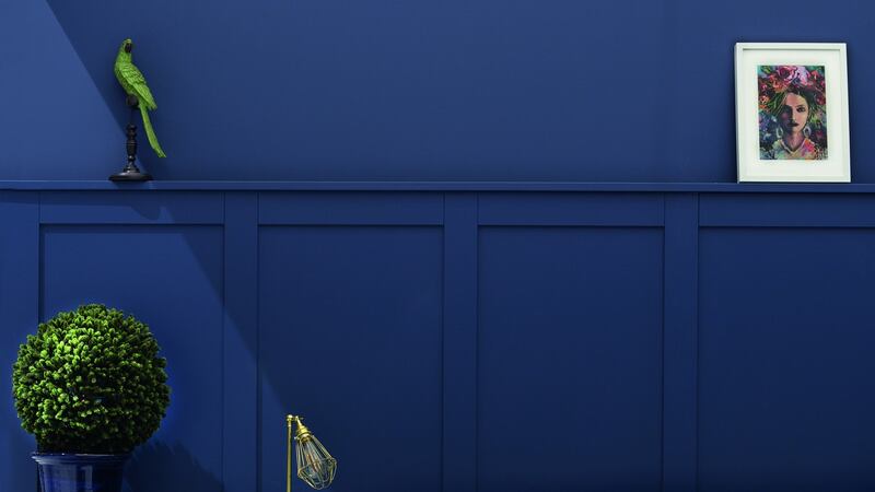 Colourtrend’s Mussel