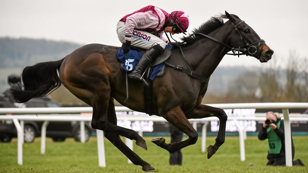 Superb Story:  Champion Hurdle at Cheltenham is potential target. Photograph: Cody Glenn/Sportsfile