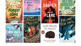 Eight books by Irish authors for children and teenagers, all perfect for Christmas