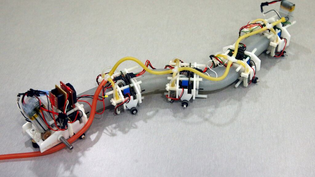 A soft robot designed in the form of a salamander  on display at the National University of Singapore. Photograph: Edgar Su/Reuters