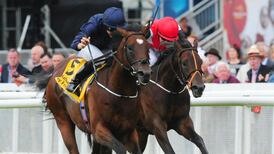 Intelligence Cross gets Aidan O’Brien off to fine start at Curragh