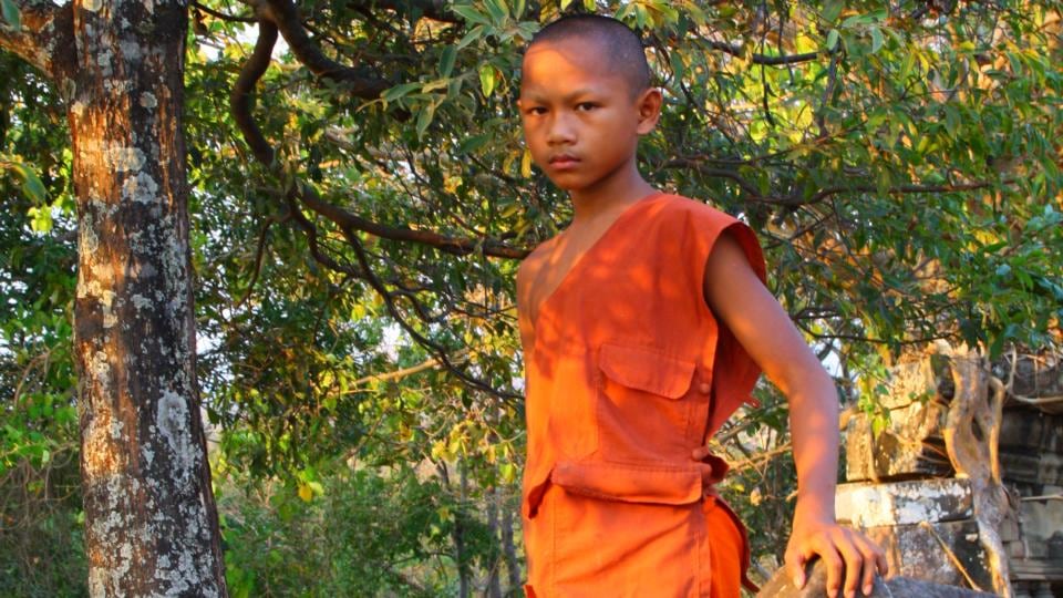 Photograph: Mark Sinnott