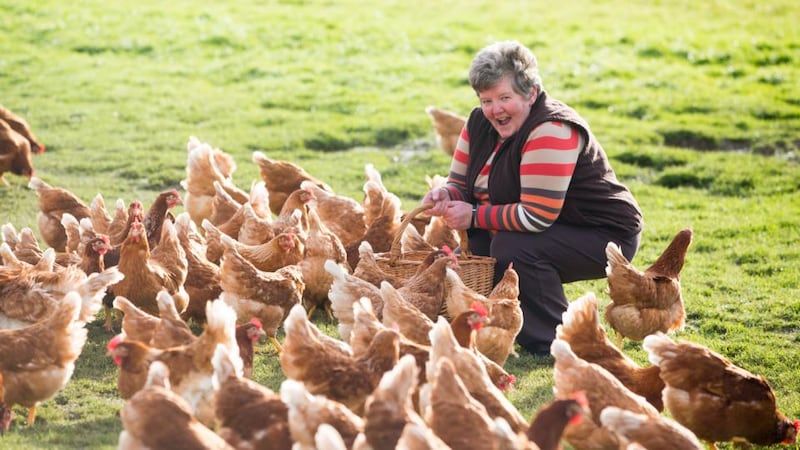 New innovator: O’Egg