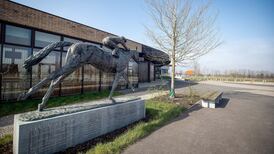 Irish regulatory board to hear Stephen Mahon appeal over four-year ban