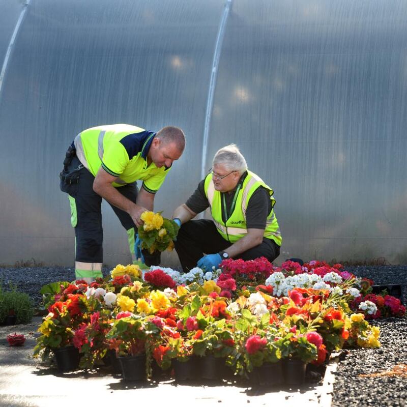 Dublin Airport: garden section supervisor Owen Tobin with chief financial officer Ray Gray. Photograph: Dara Mac Dónaill